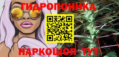 ПСИЛОЦИБИНОВЫЕ ГРИБЫ Бердск