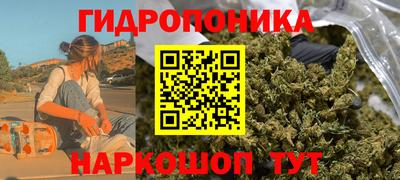 ПСИЛОЦИБИНОВЫЕ ГРИБЫ Бердск