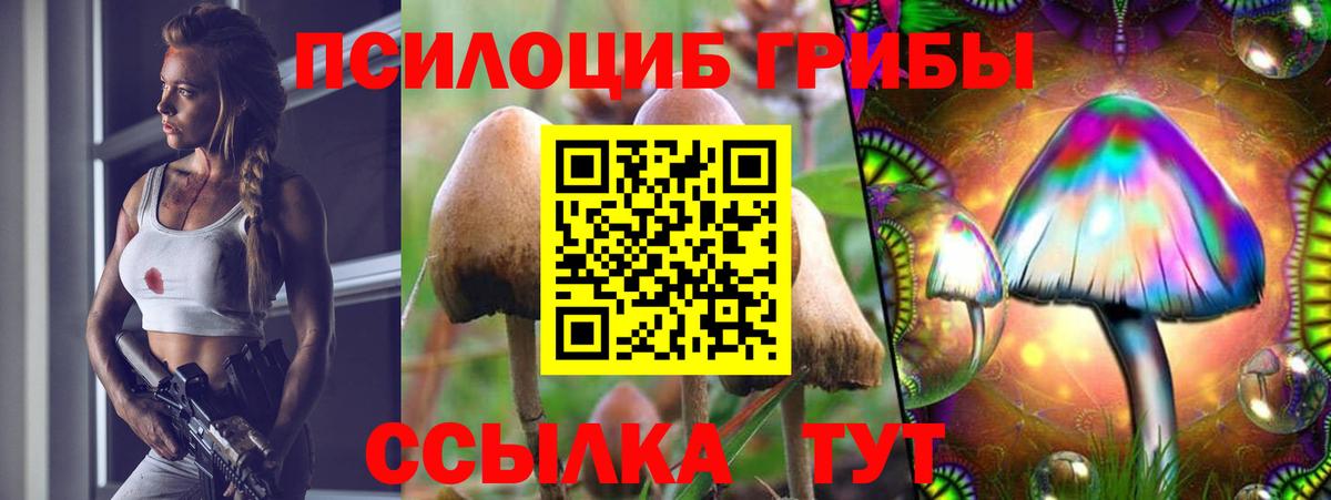 закладки  Псилоцибиновые грибы мицелий  Вход с VPN  Владикавказ 